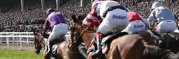cheltenham festival hospitality