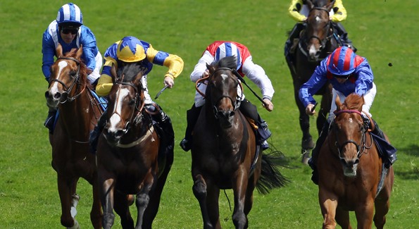 Horse Racing Hospitality packages at Cheltenham