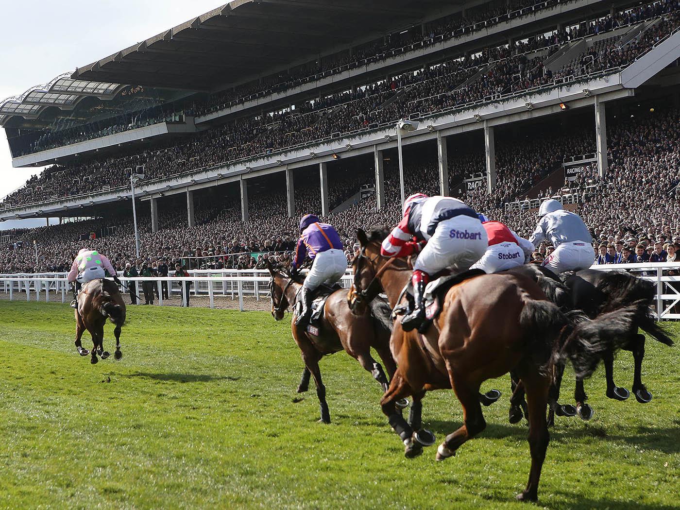 Cheltenham Grandstand Suite hospitality