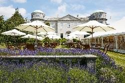 goodwood speed of festival library lawn hospitality